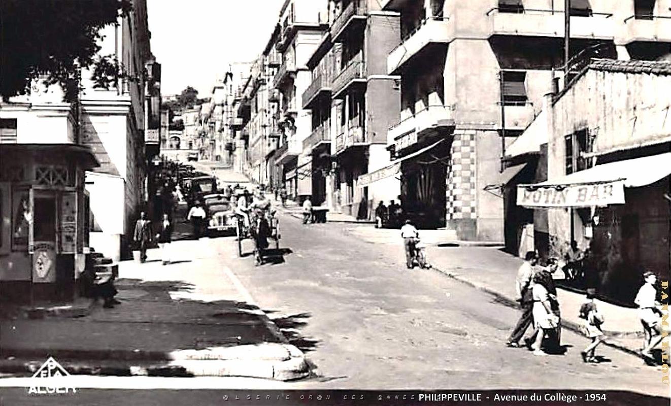 Philippeville - Avenue du College - 1954.jpg